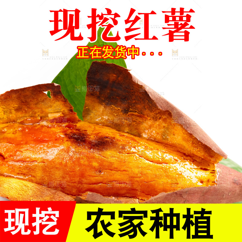 白底上的红薯