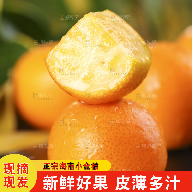 黑石板上的广西金钱橘