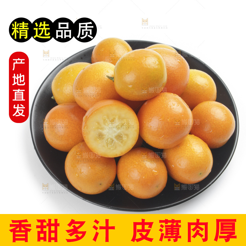 盘子里装着金桔