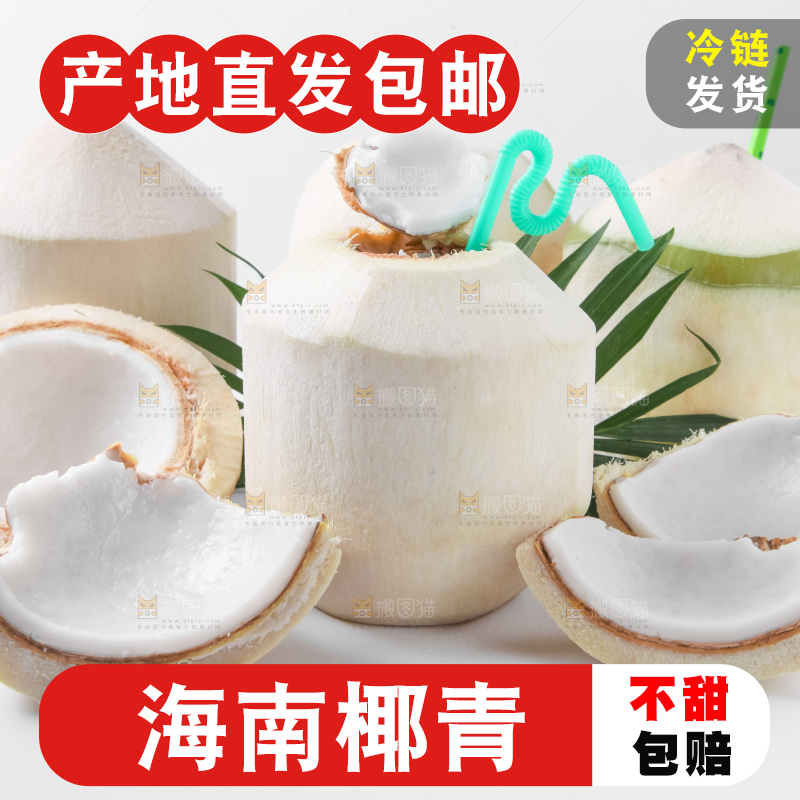 白底上青椰子