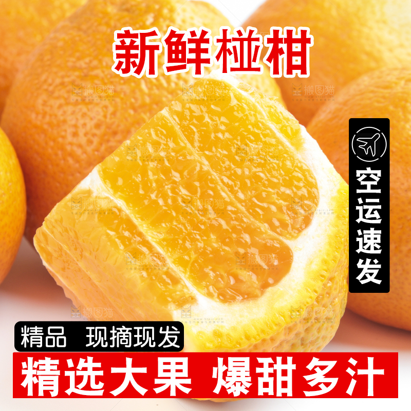 白底上放着四川椪柑