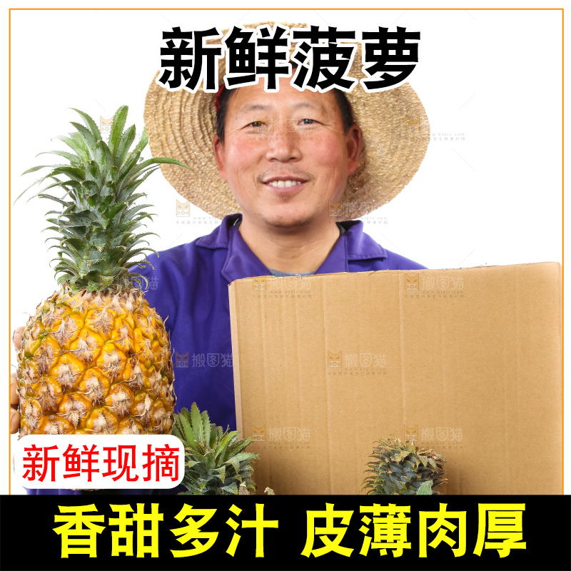 农民手里拿着香水菠萝