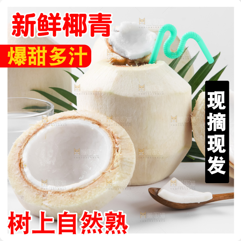 白底上青椰子