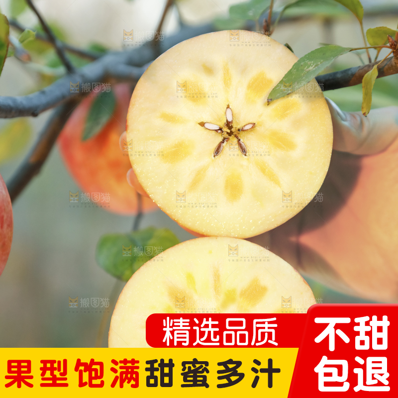 手里拿着新疆冰糖心苹果