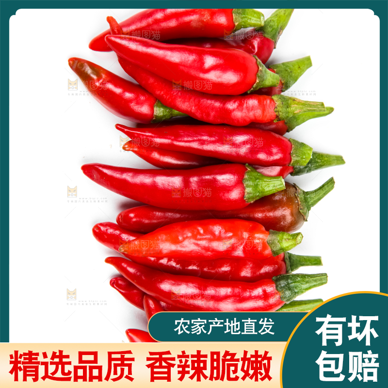 白底上摆放着广西小米椒