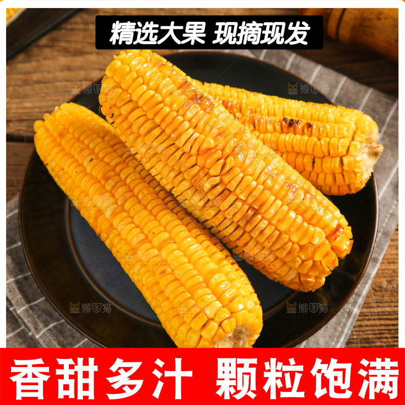 盘子里装烤玉米