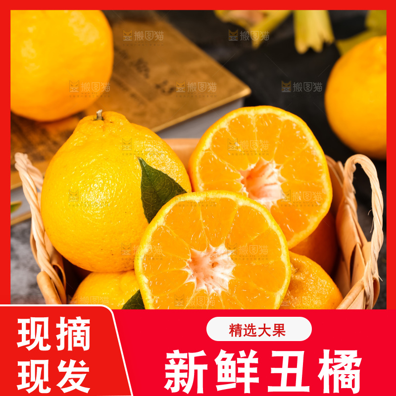 篮子里装着四川丑柑