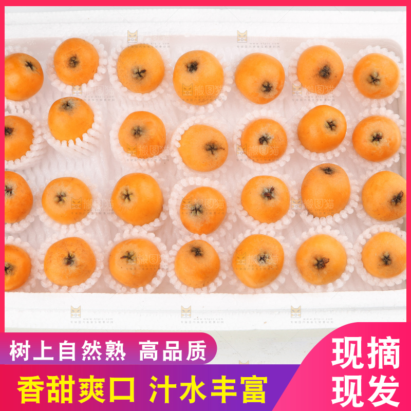 泡沫箱里装着米易枇杷