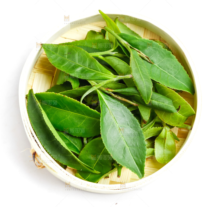 白底上放着绿茶叶