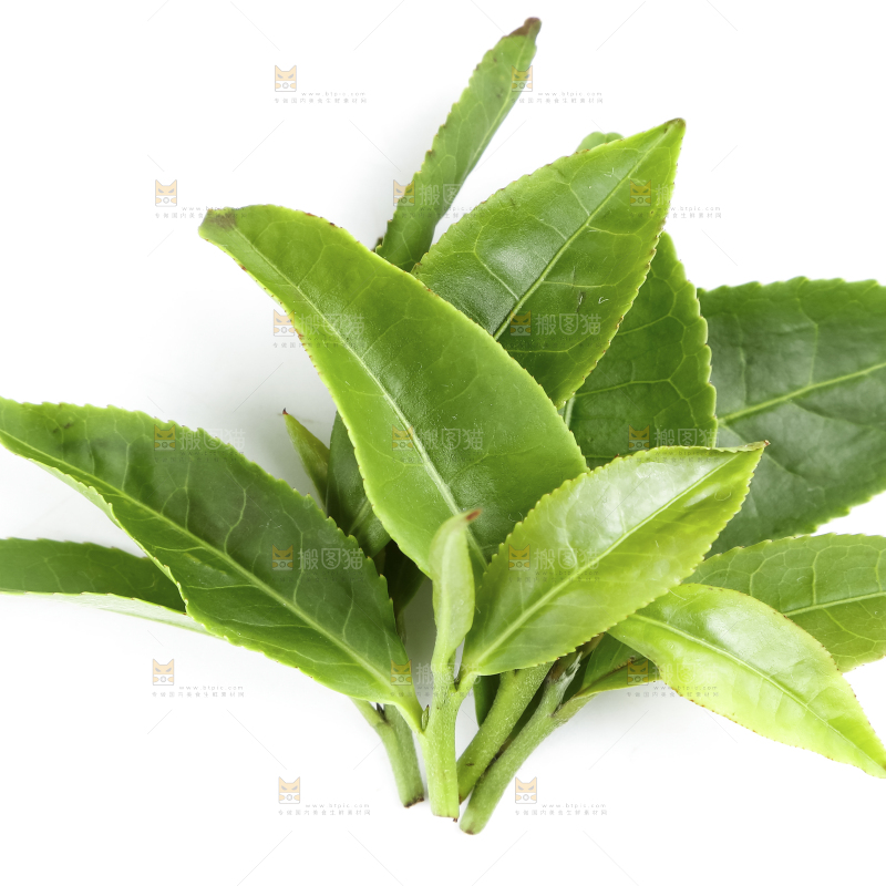 白底上的茶叶