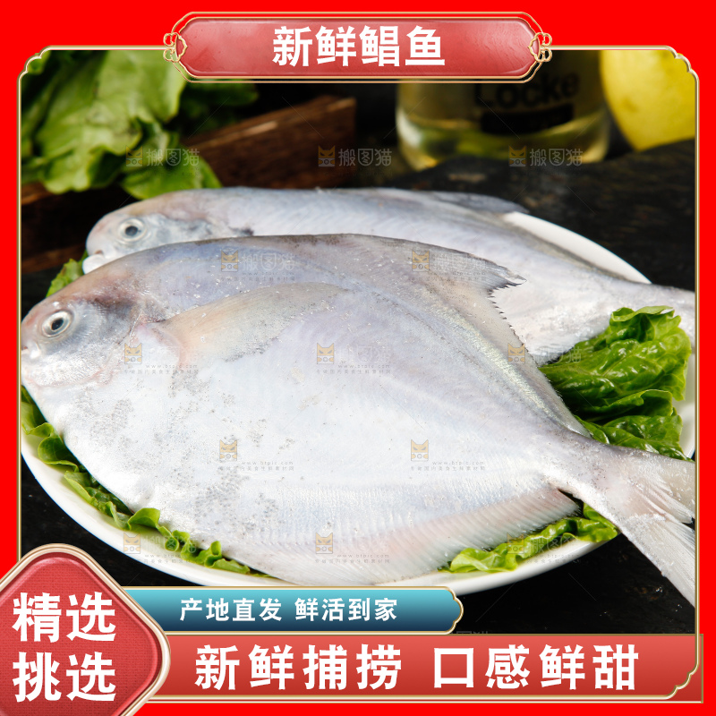 深底上放着银鲳鱼