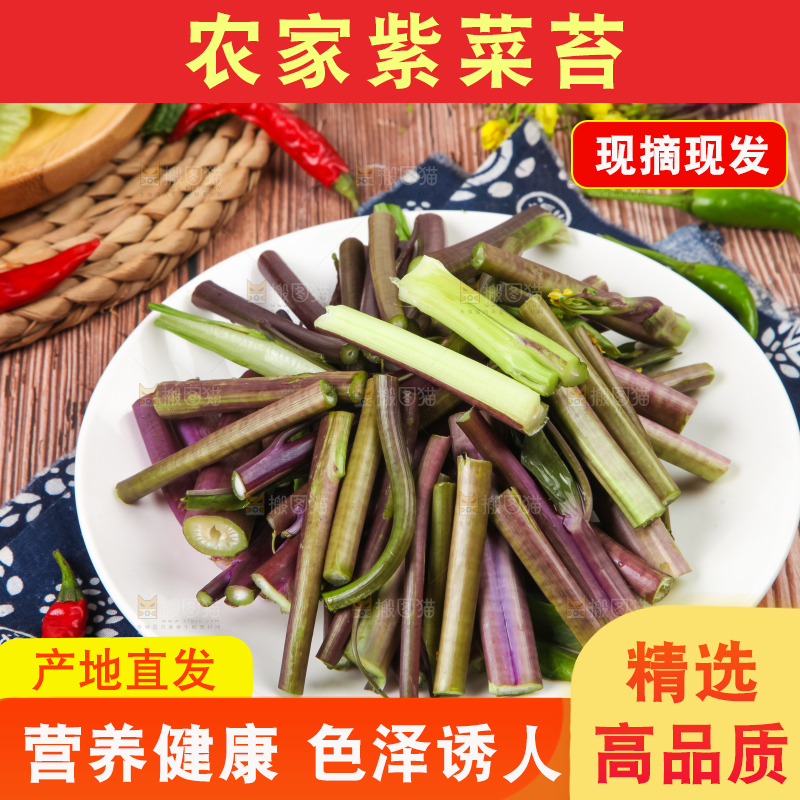 盘子里装着紫菜薹