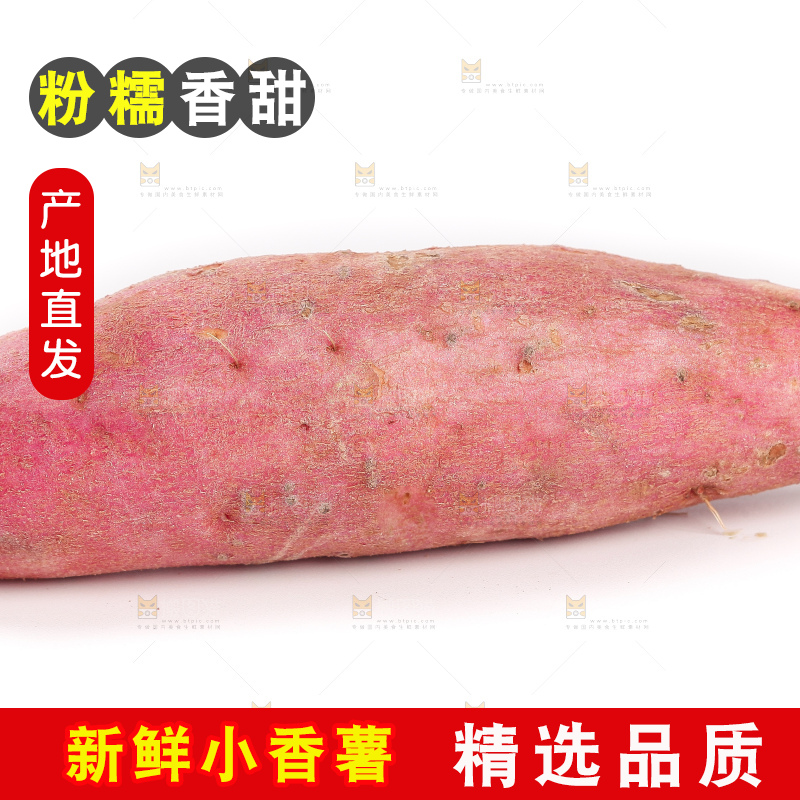 白底上的沙地板栗蜜薯