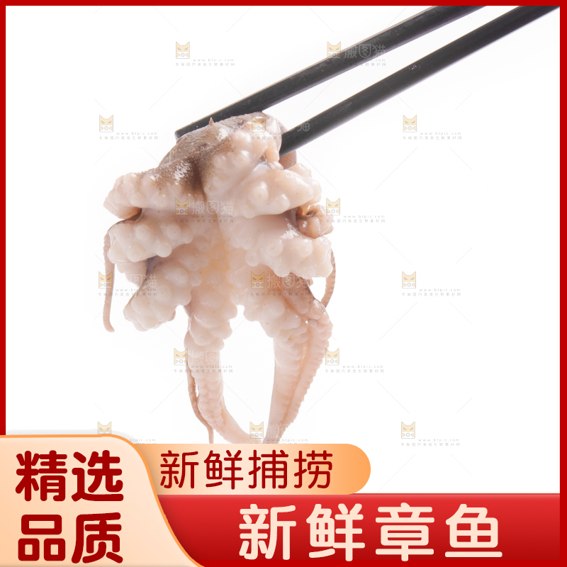 筷子上夹着八爪鱼