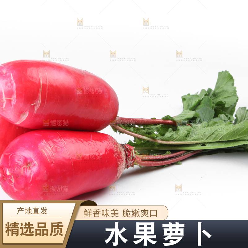 白底上的红萝卜