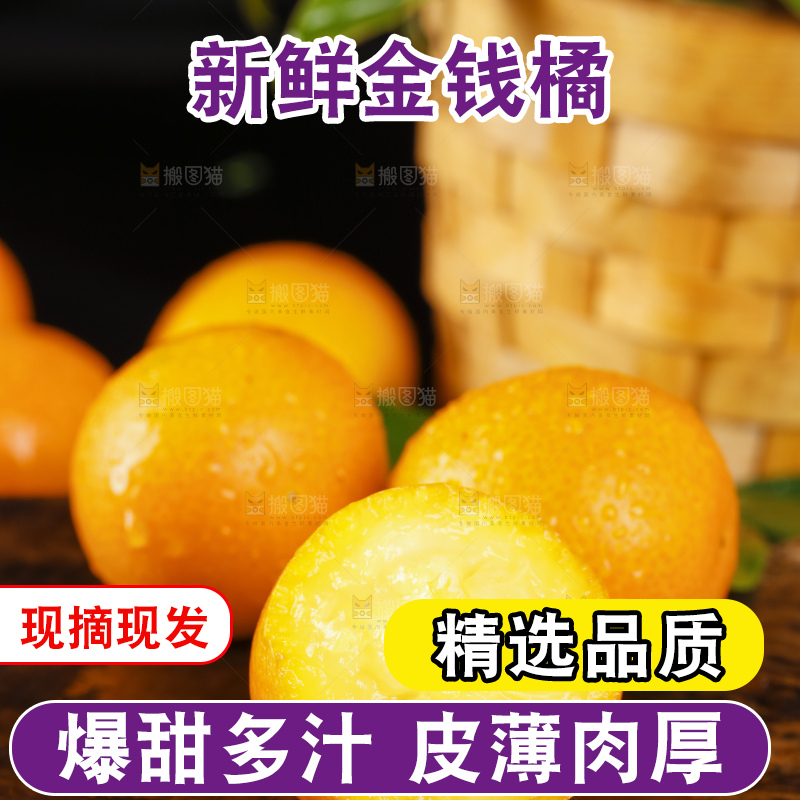 黑底上的小金桔