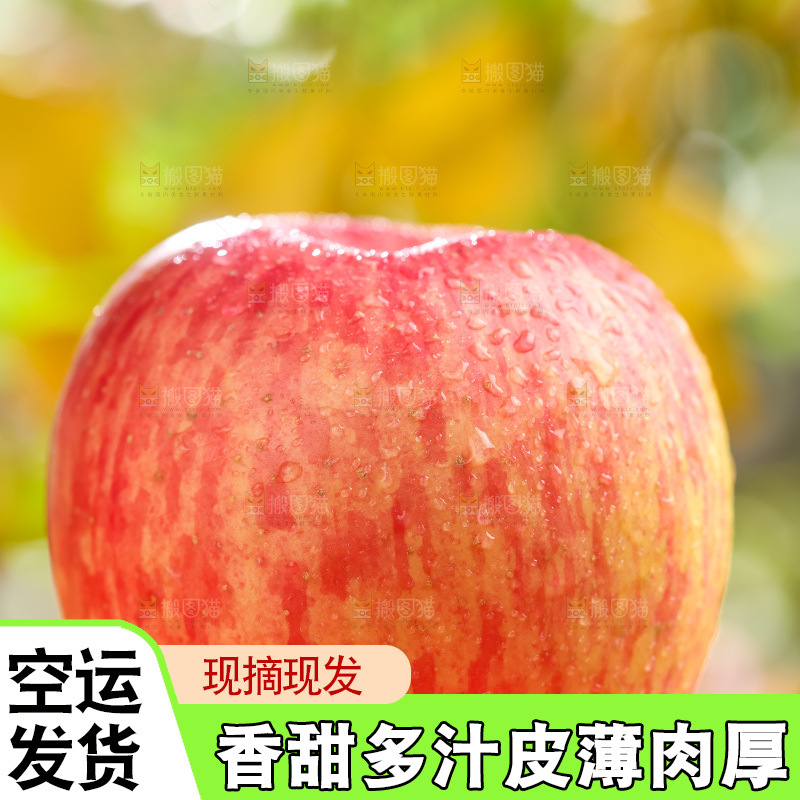 篮子里装着冰糖心苹果