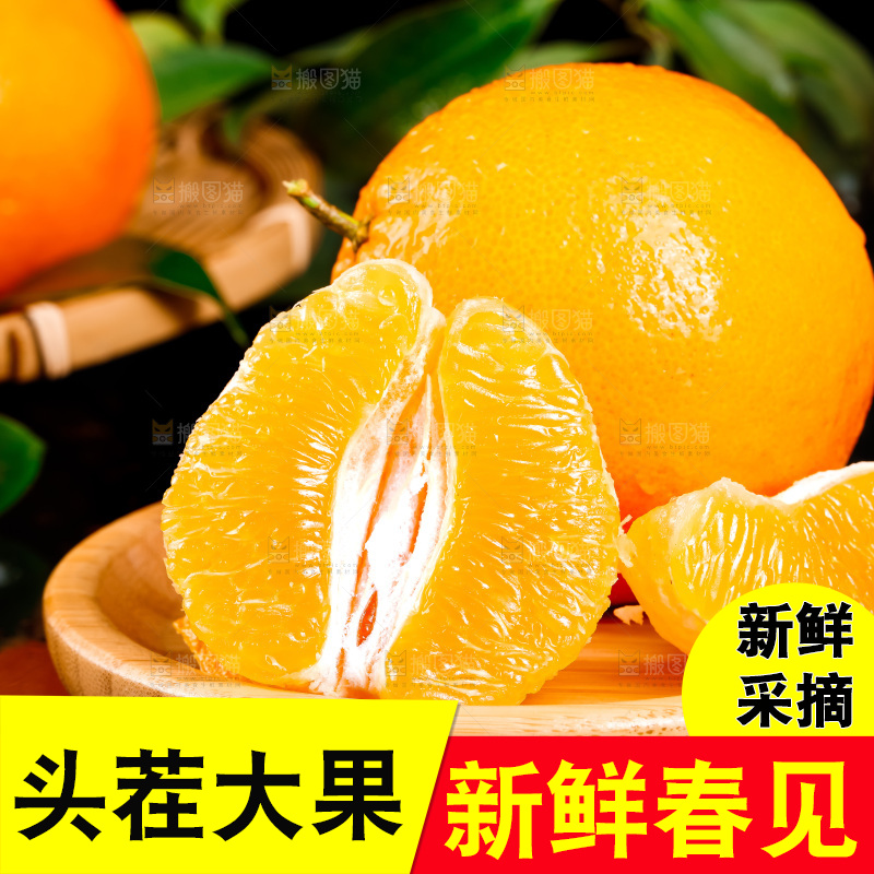 深底上的春见柑桔