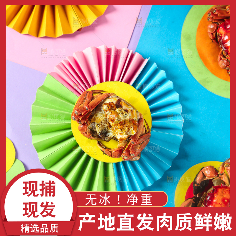 彩底上的螃蟹