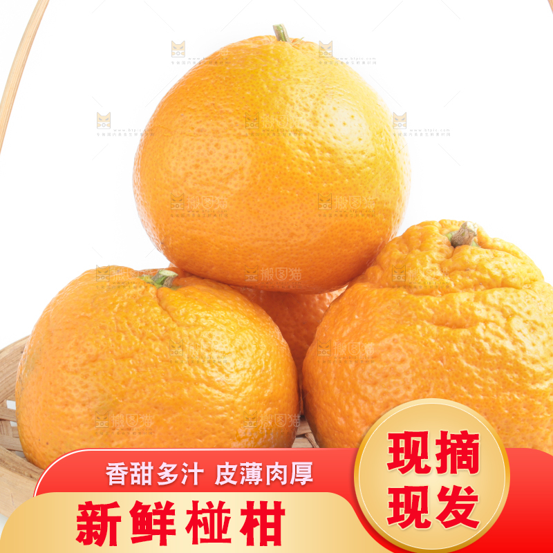 白底上摆放着椪柑橘