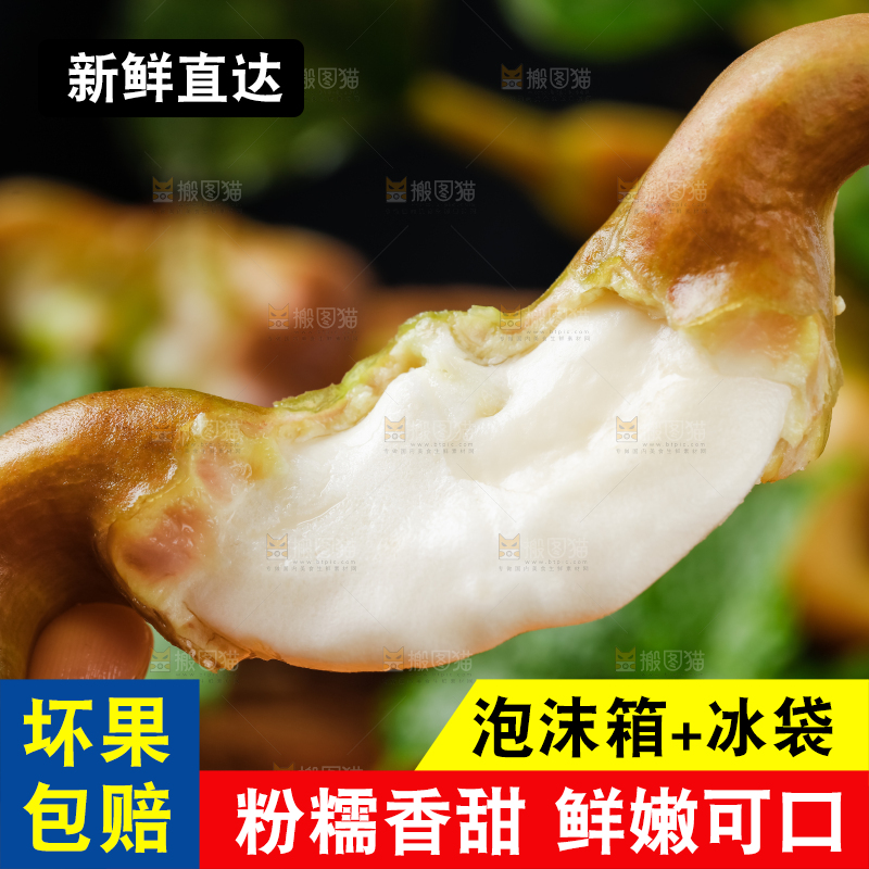 手里拿着新鲜菱角