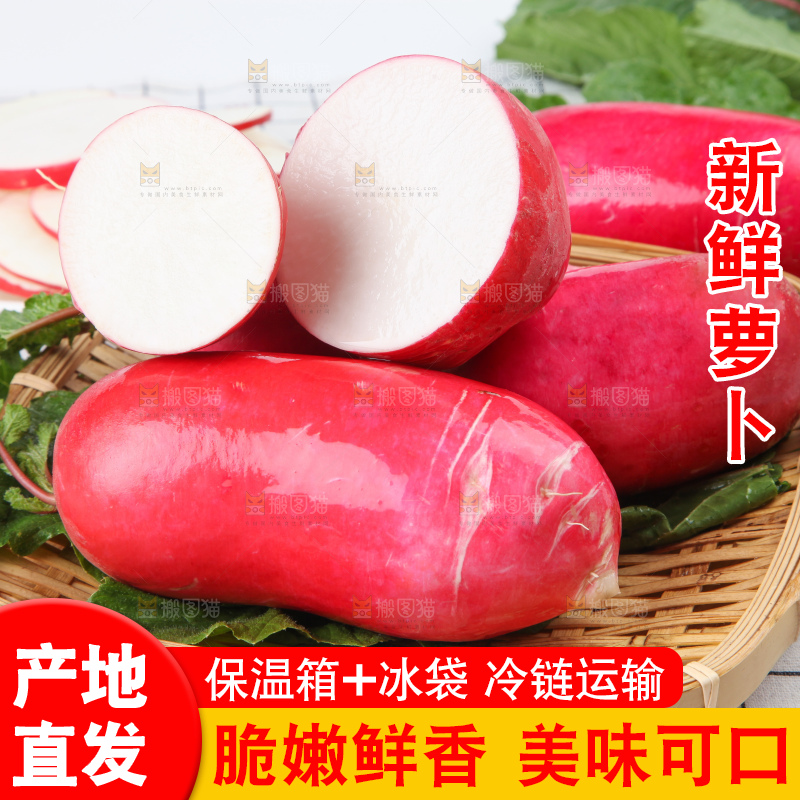 格子底上的红萝卜