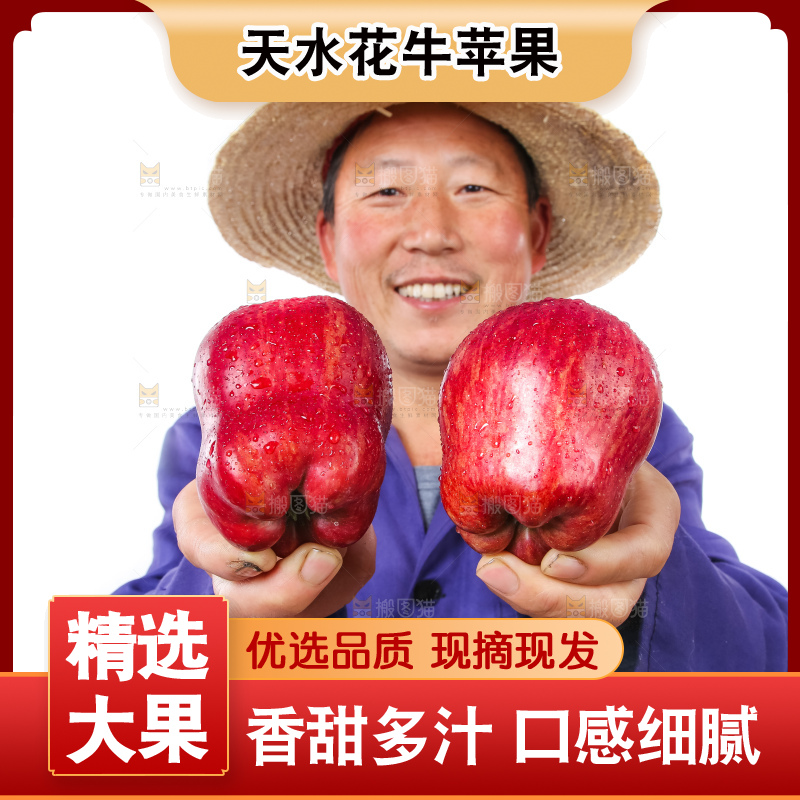 农民手里拿着天水花牛苹果