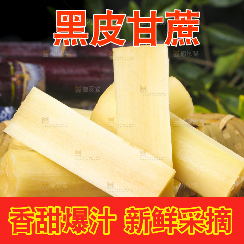 深底上的广西黑皮甘蔗