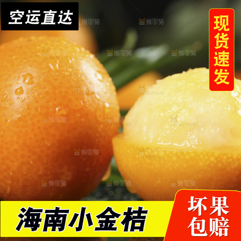 黑石板上的广西金钱橘