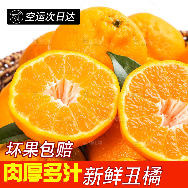 篮子里装着四川丑柑
