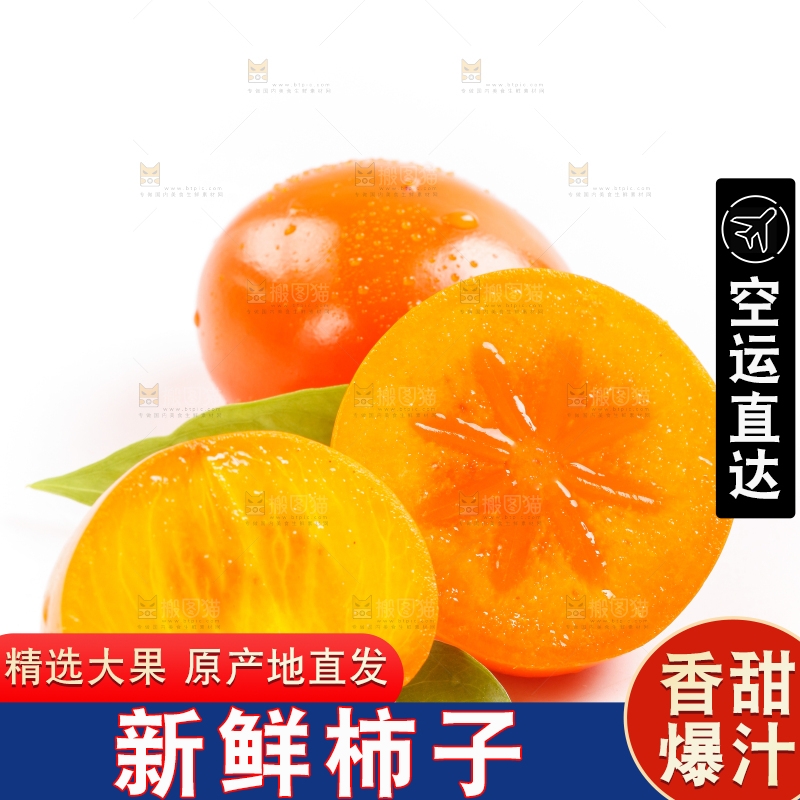 浅底上的大柿子