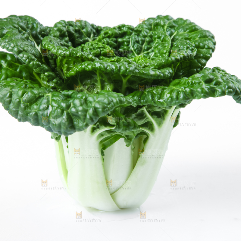 白底上放着奶油小白菜