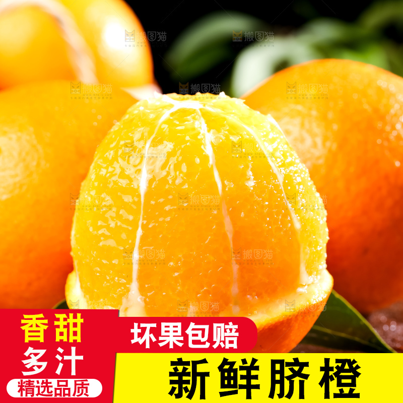 黄板子上的脐橙