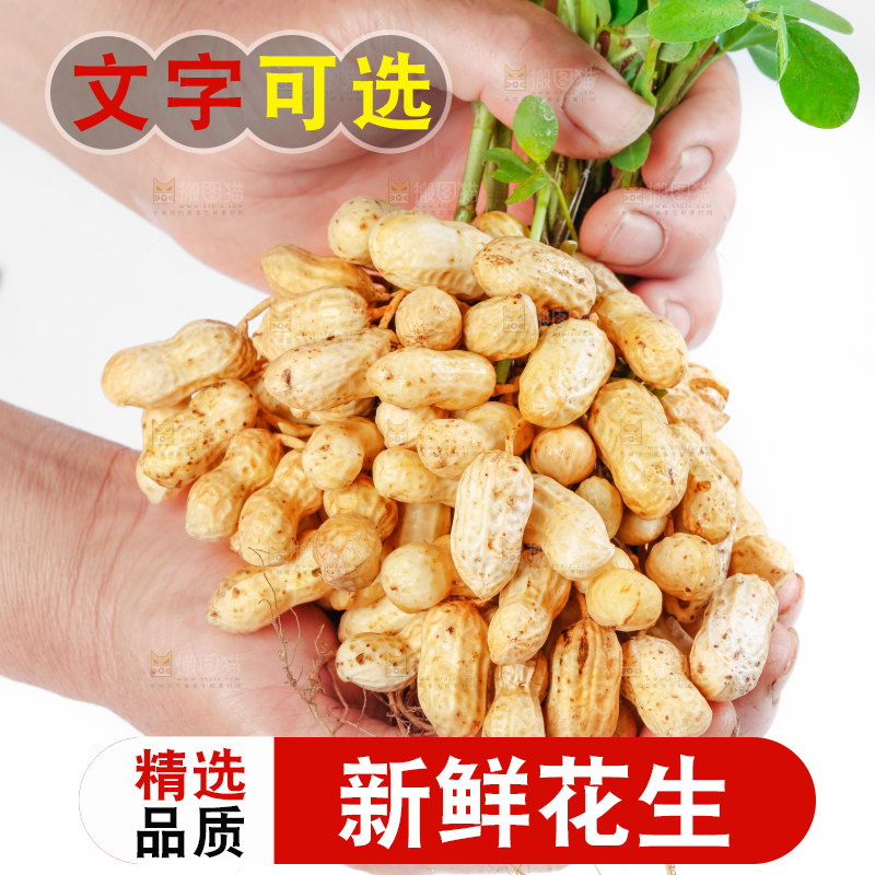 手上捧着湿花生