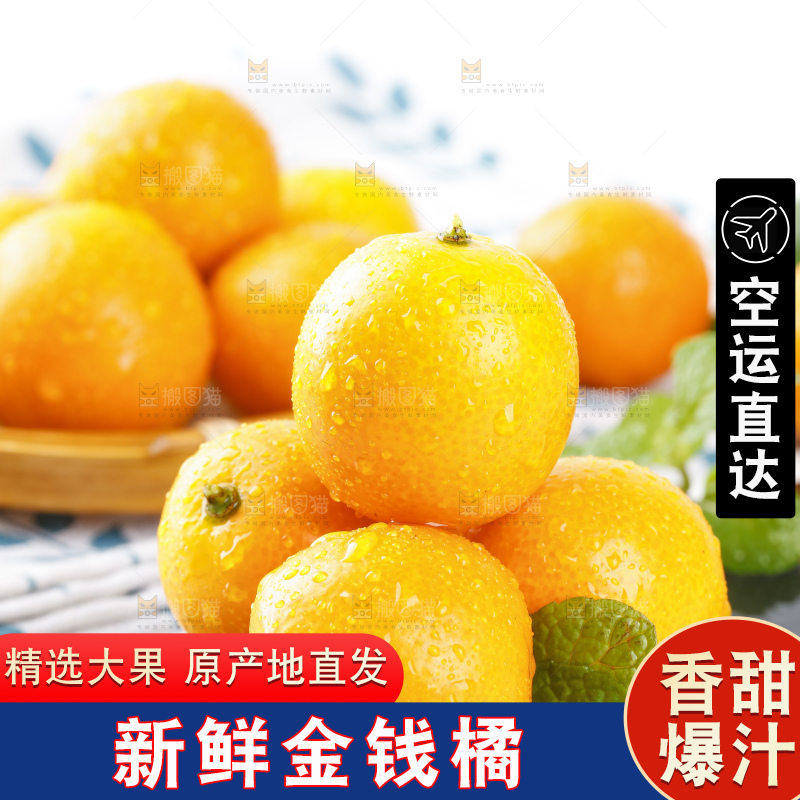 黑石板上的广西金钱橘