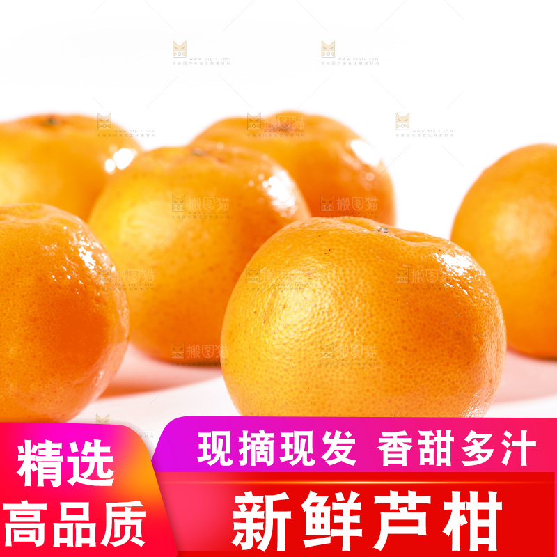 白底上的芦柑