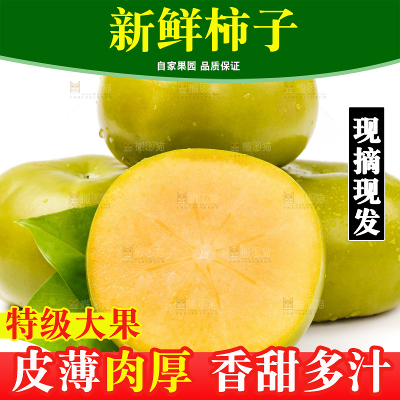 白底上放着青皮柿子