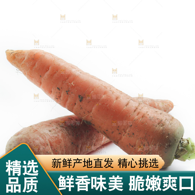 白底上的胡萝卜