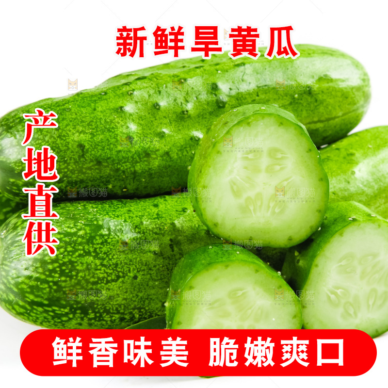 白底上的旱黄瓜