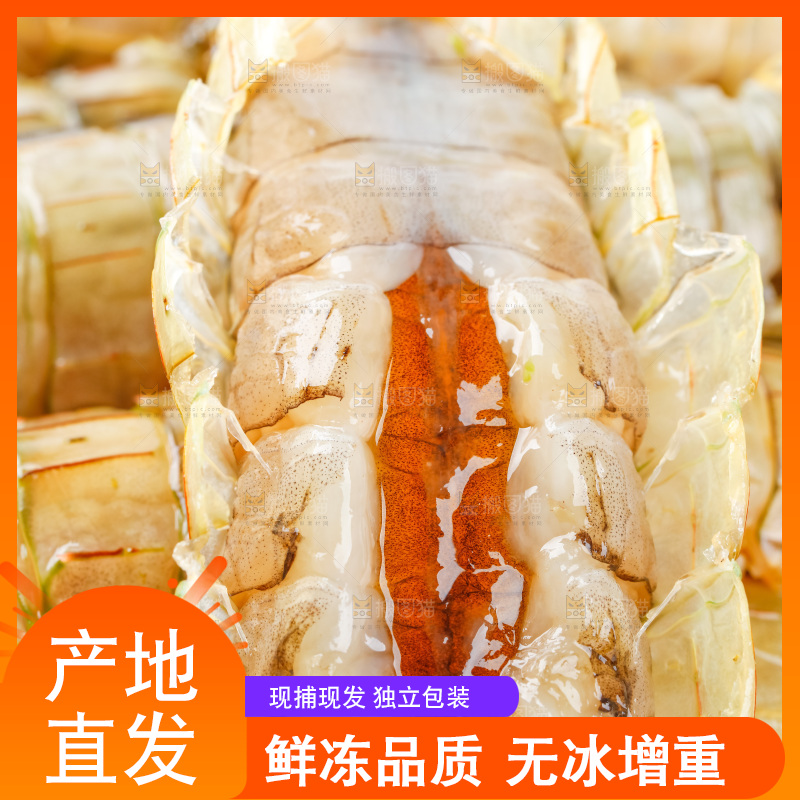 白底上的濑尿虾