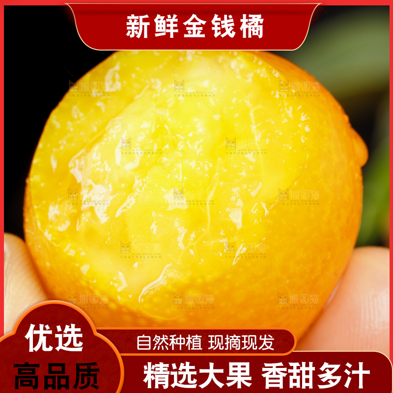 黑底上的小金桔