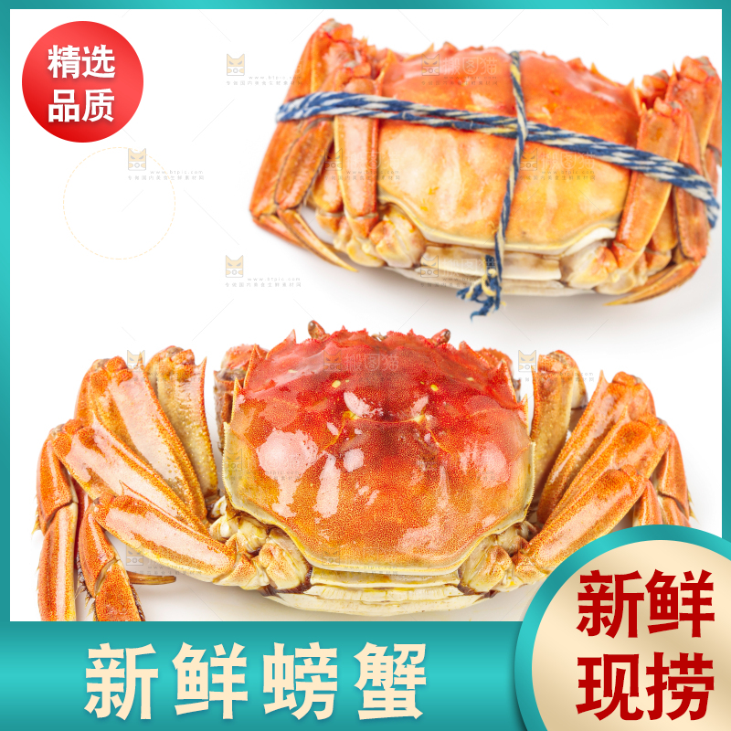 浅底上摆放着熟螃蟹