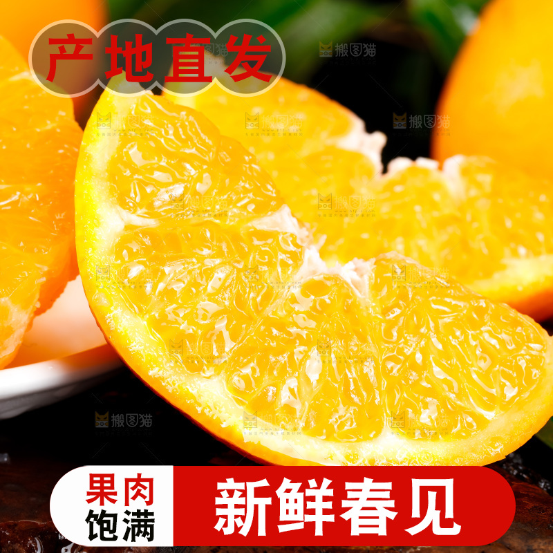 深底上的春见柑桔
