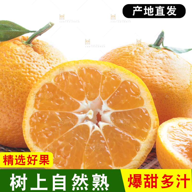 白底上摆放着椪柑橘