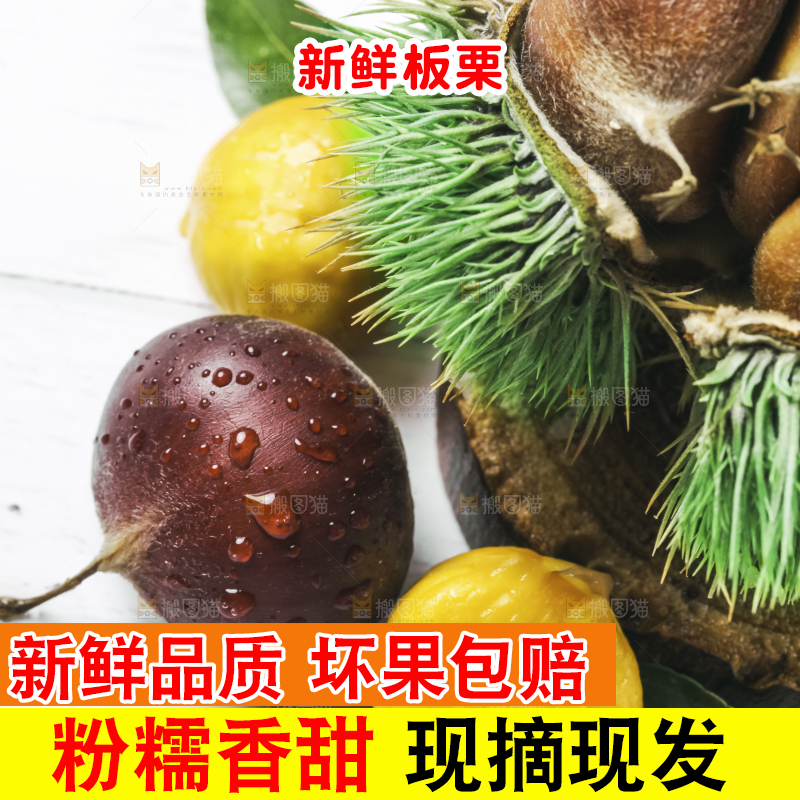 白底上的新鲜板栗