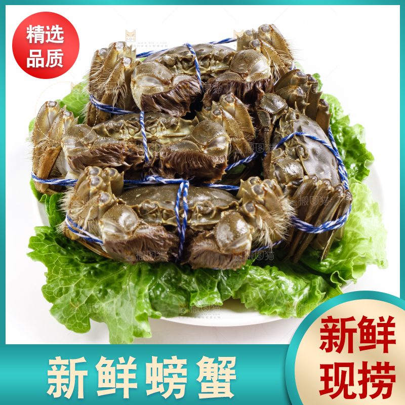 盘子里的阳澄湖大闸蟹