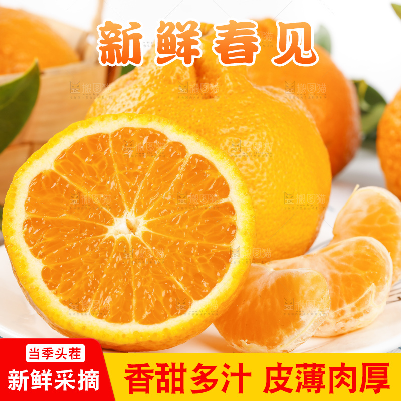 浅底上的春见耙耙柑