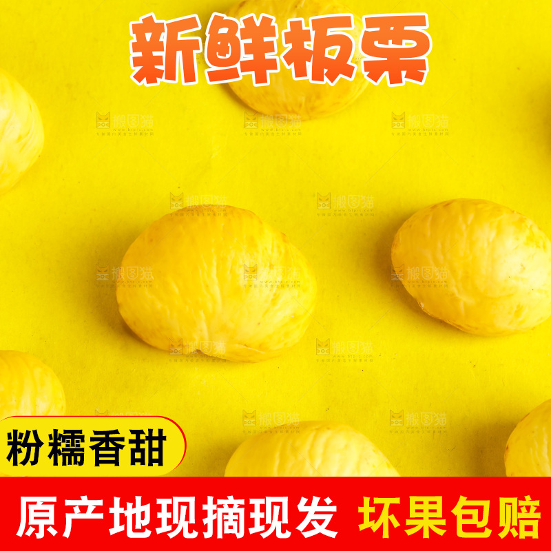 黄底上的迁西板栗