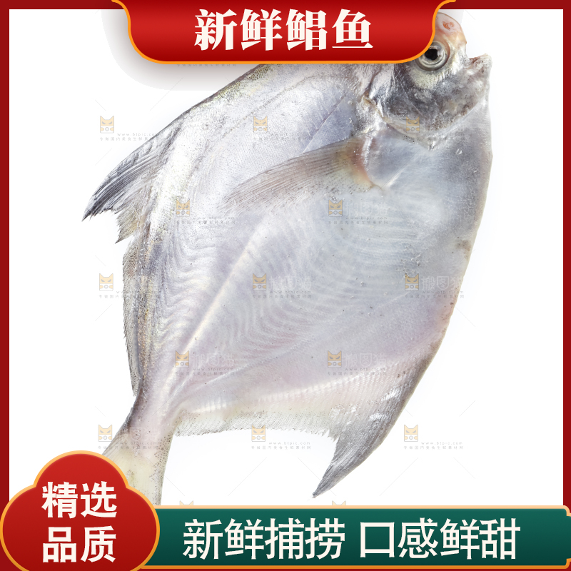 白底上放着银鲳鱼