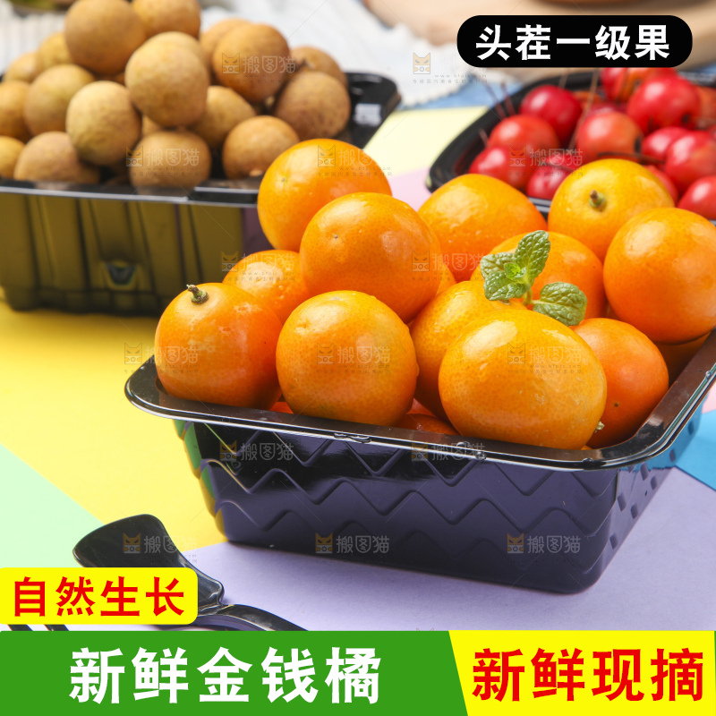 盒子了装着小金桔